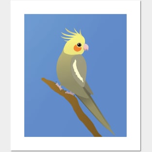 A grey cockatiel perched on a branch Posters and Art